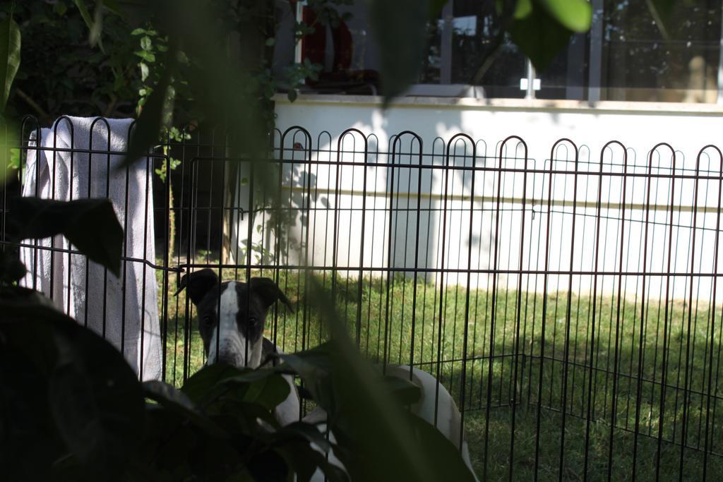 Aloria Garden Hotel Erdek Kültér fotó