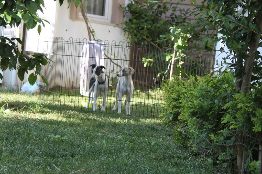 Aloria Garden Hotel Erdek Kültér fotó